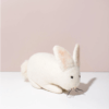Mulxiply hand-felted white bunny