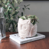 Terracotta pot owl