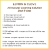 DIY lemon clove cleaning solution
